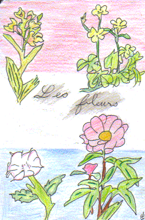 153.gif